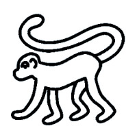 Monkey