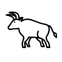 Ox