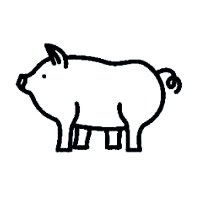 Pig