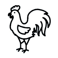 Rooster